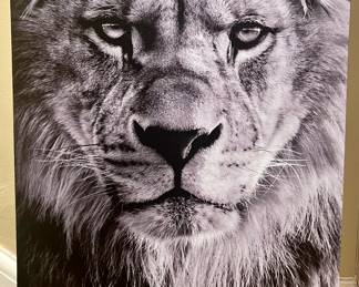 Lion Stretched Canvas Art
