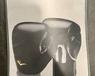 Everlast Pro Style Training Gloves