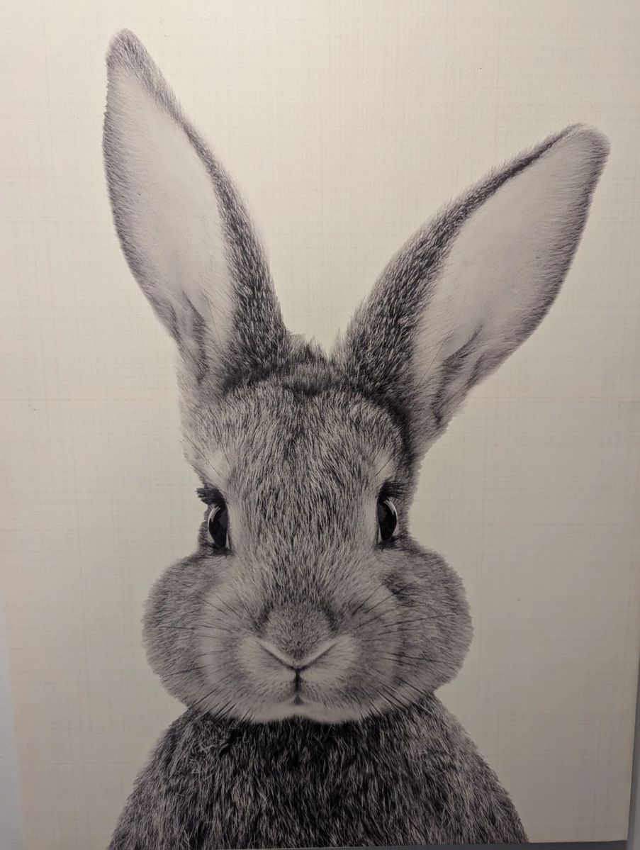 Rabbit Print