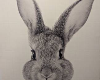 Rabbit Print