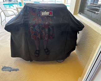 Weber grill