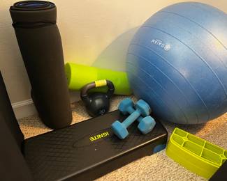 Exercise items