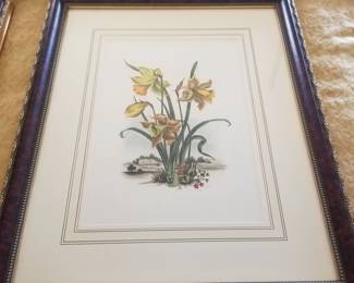Botanical art