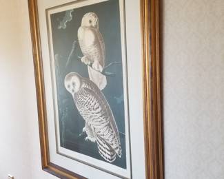 Large owl print