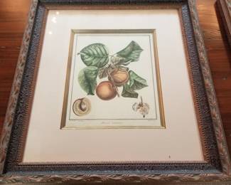 Botanical art