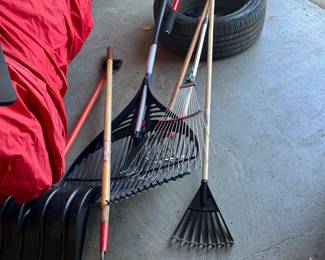 rakes lawn yard