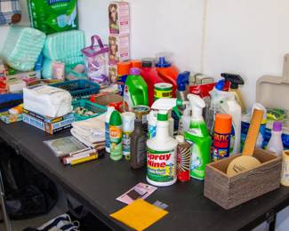 Assortment of cleaning supplies 