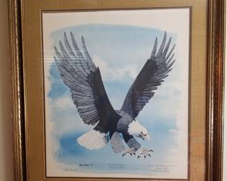 Beautifully framed "American Bald Eagle" by Gene Gray 