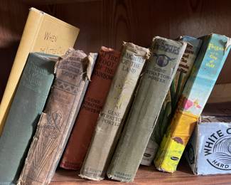 Gene Stratton Porter Books