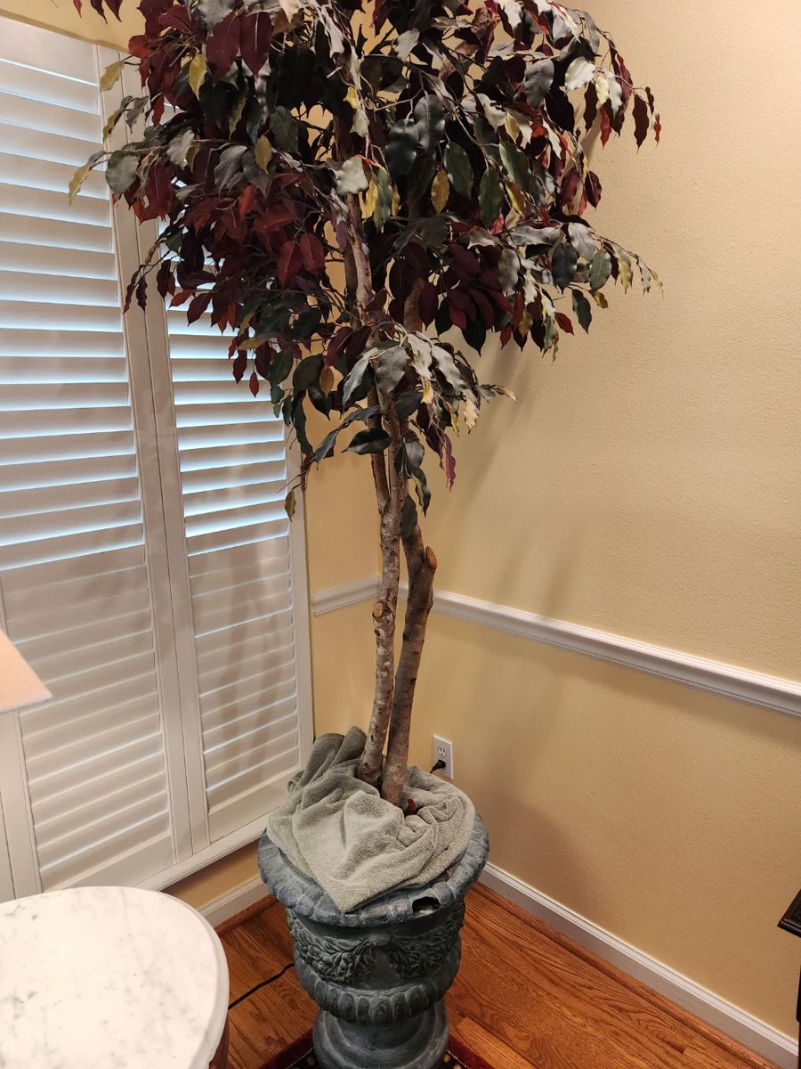 Blue Moon Estate Sale West Little Rock starts on 6/1/2024