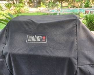 Weber propane grill
