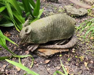 concrete armadillo