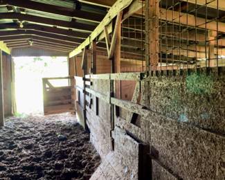 Horse Stable