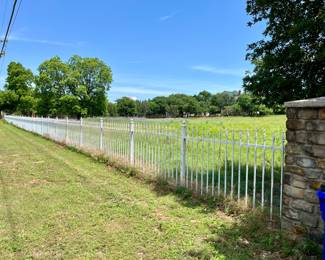 Wrought Iron Fencing