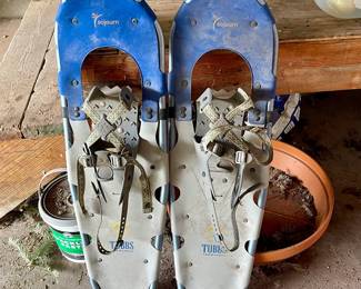 snowshoes 