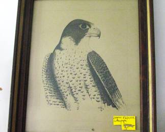 Vintage Falcon Lithograph
