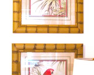 Large Macaw Parrot Framed Art