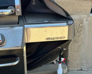 Weber Genesis Propane Gas Grill