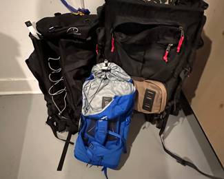 Backpacks.