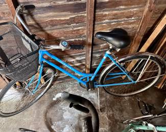 Vintage Schwinn cruiser.