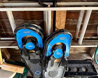New snowshoes.