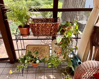 Metal plant stand and plants.