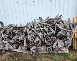 load of firewood