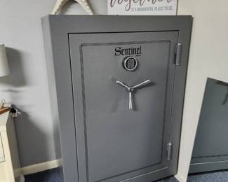 SENTINEL GUN SAFE
