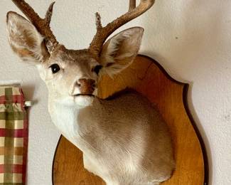 Dear Head Shoulder Mount