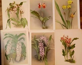 Antique Joseph Mansell Lithographs. From the late 1800s