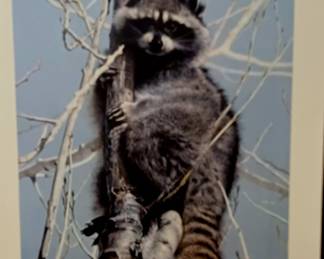 Many Charles Frace Prints