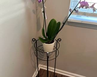 Plant stand