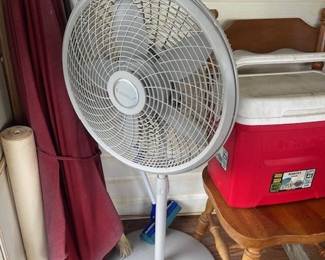 Fan