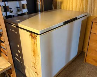 Chest Freezer