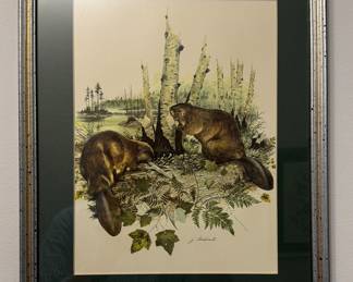 James Lockhart Beaver Print. Signed By Artist. 
