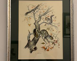 James Lockhart Squirrel Print. Signed By Artist. 