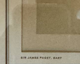 Sir James Paget, Bart, Leslie Matthew Ward (Spy.) Measures 5" x 7.5"; 12" x 15" Including Frame. Photo 2 of 3. 