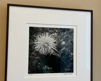 Fine art by award winner Nicolas Teetelli