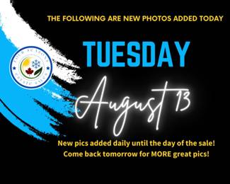 NEW PHOTOS ADDED TODAY