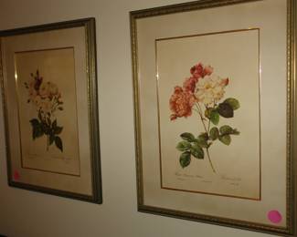 Framed botanical prints
