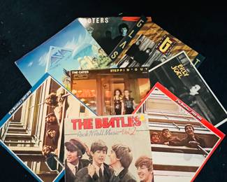 Vinyl including beetles