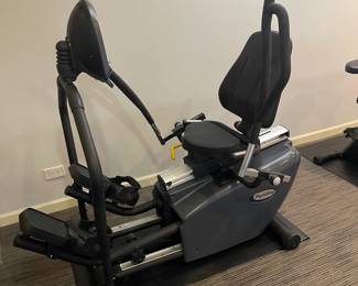 PHYSIOSTEP Seated Stepper Elliptical