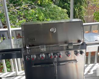 Deluxe WEBER grill 