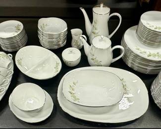 Amazing Haviland Bavaria China Set