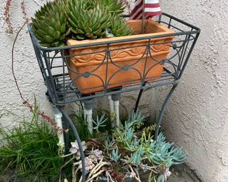 Plants, pots and yard art.
