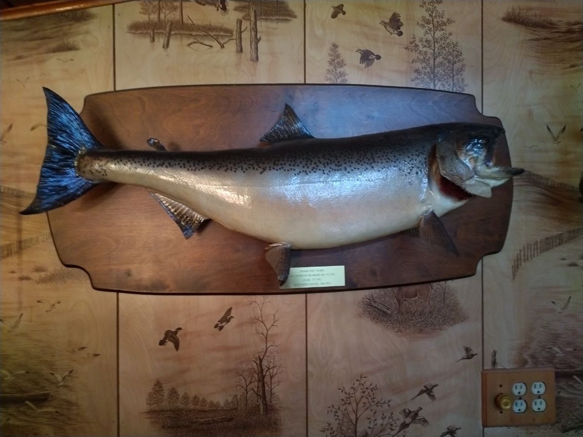 LARGE KIRKWOOD NY ESTATE SALE5/23 5/26... starts on 5/23/2024