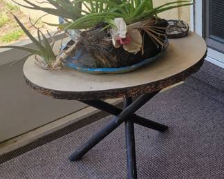 Small display table & plant