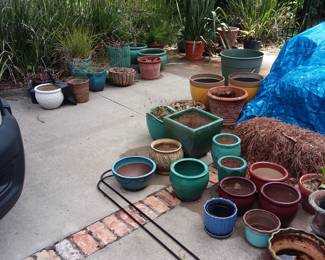 Wow! Plants and planters! 