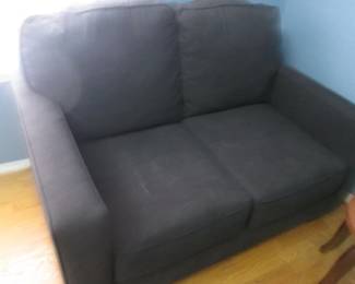 Sleeper Love Seat