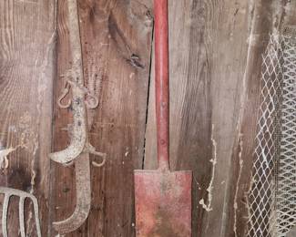 Cotton scales, red shovel 